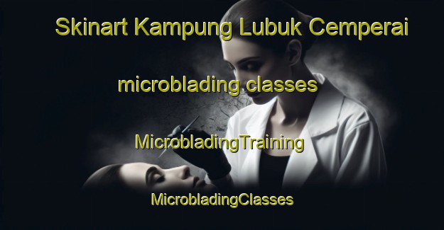 Skinart Kampung Lubuk Cemperai microblading classes | #MicrobladingTraining #MicrobladingClasses #SkinartTraining-Malaysia