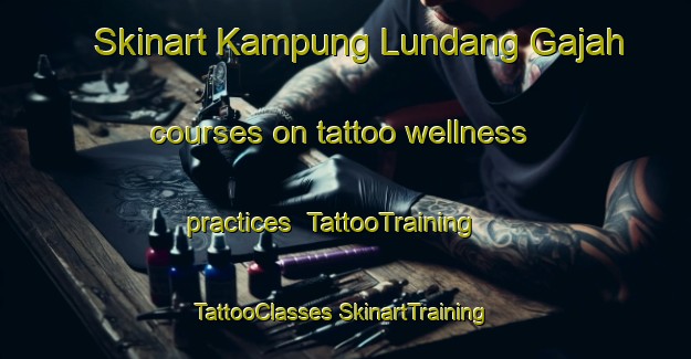 Skinart Kampung Lundang Gajah courses on tattoo wellness practices | #TattooTraining #TattooClasses #SkinartTraining-Malaysia