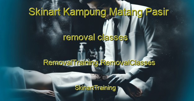 Skinart Kampung Matang Pasir removal classes | #RemovalTraining #RemovalClasses #SkinartTraining-Malaysia