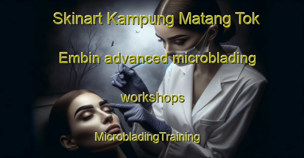 Skinart Kampung Matang Tok Embin advanced microblading workshops | MicrobladingTraining | MicrobladingClasses | SkinartTraining-Malaysia