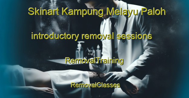 Skinart Kampung Melayu Paloh introductory removal sessions | RemovalTraining | RemovalClasses | SkinartTraining-Malaysia