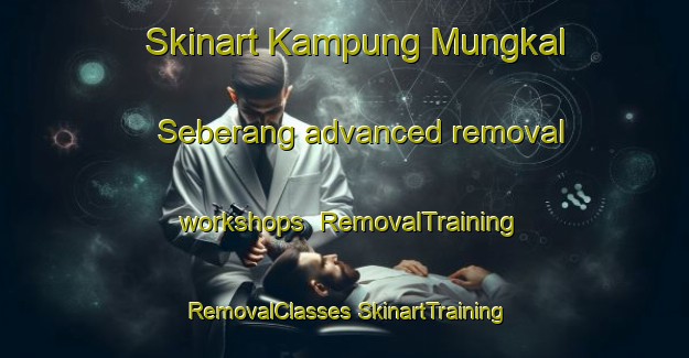 Skinart Kampung Mungkal Seberang advanced removal workshops | #RemovalTraining #RemovalClasses #SkinartTraining-Malaysia