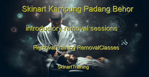 Skinart Kampung Padang Behor introductory removal sessions | #RemovalTraining #RemovalClasses #SkinartTraining-Malaysia