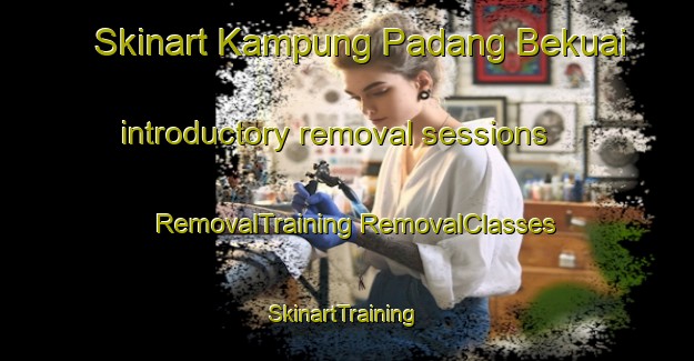 Skinart Kampung Padang Bekuai introductory removal sessions | #RemovalTraining #RemovalClasses #SkinartTraining-Malaysia