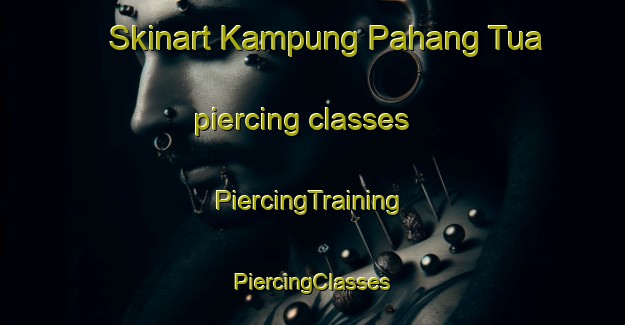 Skinart Kampung Pahang Tua piercing classes | #PiercingTraining #PiercingClasses #SkinartTraining-Malaysia