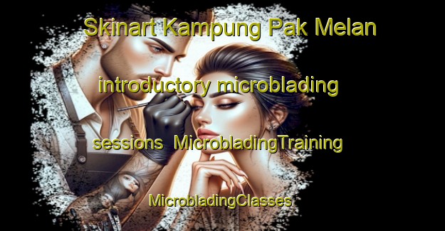 Skinart Kampung Pak Melan introductory microblading sessions | MicrobladingTraining | MicrobladingClasses | SkinartTraining-Malaysia