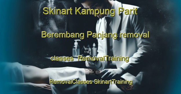 Skinart Kampung Parit Berembang Panjang removal classes | #RemovalTraining #RemovalClasses #SkinartTraining-Malaysia