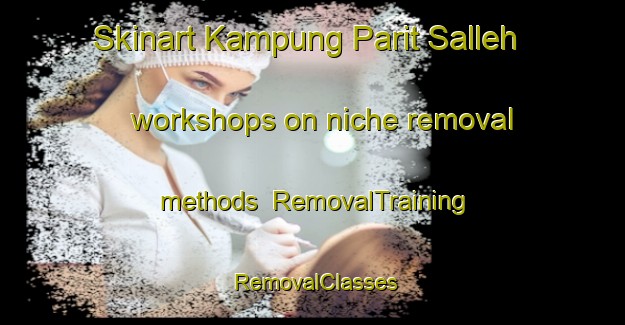 Skinart Kampung Parit Salleh workshops on niche removal methods | RemovalTraining | RemovalClasses | SkinartTraining-Malaysia