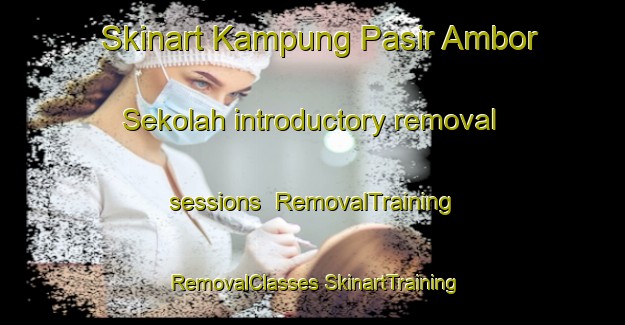 Skinart Kampung Pasir Ambor Sekolah introductory removal sessions | #RemovalTraining #RemovalClasses #SkinartTraining-Malaysia