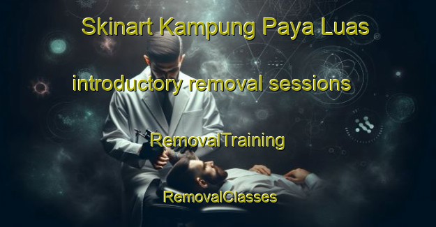 Skinart Kampung Paya Luas introductory removal sessions | RemovalTraining | RemovalClasses | SkinartTraining-Malaysia