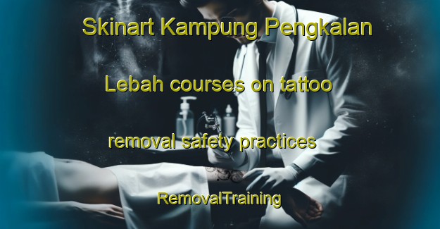 Skinart Kampung Pengkalan Lebah courses on tattoo removal safety practices | RemovalTraining | RemovalClasses | SkinartTraining-Malaysia