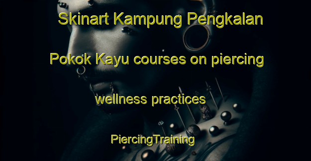 Skinart Kampung Pengkalan Pokok Kayu courses on piercing wellness practices | #PiercingTraining #PiercingClasses #SkinartTraining-Malaysia