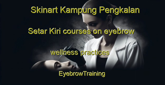 Skinart Kampung Pengkalan Setar Kiri courses on eyebrow wellness practices | EyebrowTraining | EyebrowClasses | SkinartTraining-Malaysia