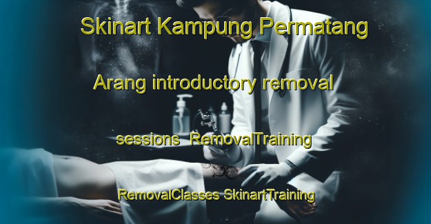 Skinart Kampung Permatang Arang introductory removal sessions | #RemovalTraining #RemovalClasses #SkinartTraining-Malaysia