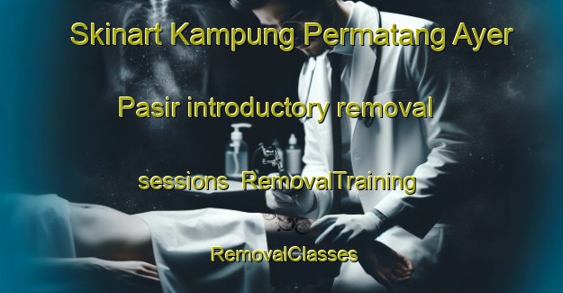 Skinart Kampung Permatang Ayer Pasir introductory removal sessions | RemovalTraining | RemovalClasses | SkinartTraining-Malaysia