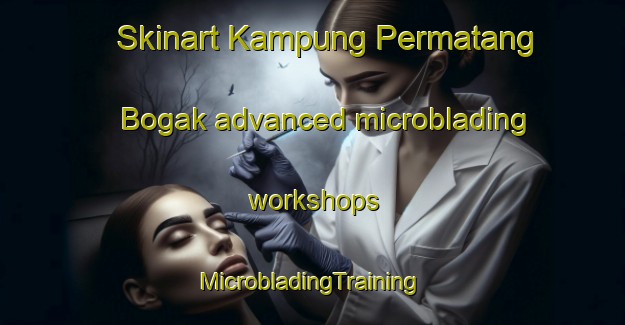 Skinart Kampung Permatang Bogak advanced microblading workshops | #MicrobladingTraining #MicrobladingClasses #SkinartTraining-Malaysia