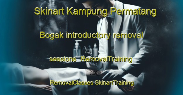 Skinart Kampung Permatang Bogak introductory removal sessions | #RemovalTraining #RemovalClasses #SkinartTraining-Malaysia