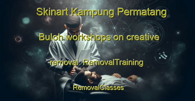 Skinart Kampung Permatang Buloh workshops on creative removal | RemovalTraining | RemovalClasses | SkinartTraining-Malaysia