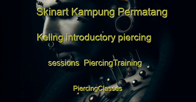 Skinart Kampung Permatang Keling introductory piercing sessions | #PiercingTraining #PiercingClasses #SkinartTraining-Malaysia