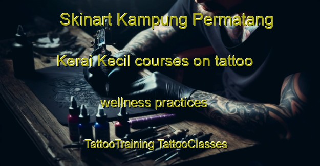 Skinart Kampung Permatang Kerai Kecil courses on tattoo wellness practices | #TattooTraining #TattooClasses #SkinartTraining-Malaysia