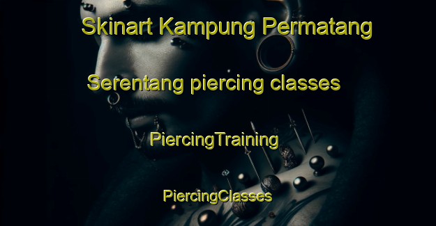 Skinart Kampung Permatang Serentang piercing classes | #PiercingTraining #PiercingClasses #SkinartTraining-Malaysia