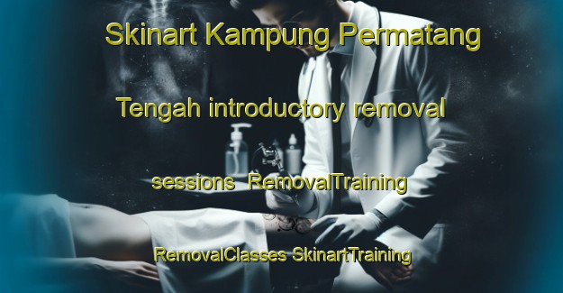 Skinart Kampung Permatang Tengah introductory removal sessions | #RemovalTraining #RemovalClasses #SkinartTraining-Malaysia