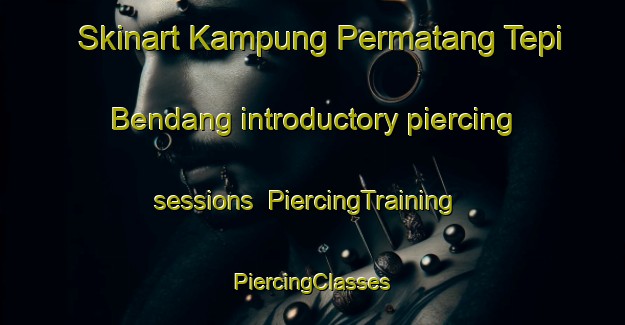 Skinart Kampung Permatang Tepi Bendang introductory piercing sessions | #PiercingTraining #PiercingClasses #SkinartTraining-Malaysia