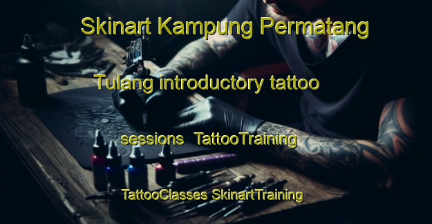 Skinart Kampung Permatang Tulang introductory tattoo sessions | #TattooTraining #TattooClasses #SkinartTraining-Malaysia