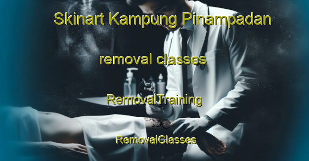 Skinart Kampung Pinampadan removal classes | RemovalTraining | RemovalClasses | SkinartTraining-Malaysia