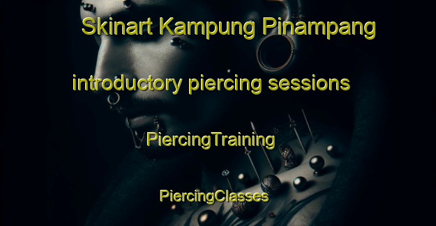 Skinart Kampung Pinampang introductory piercing sessions | PiercingTraining | PiercingClasses | SkinartTraining-Malaysia