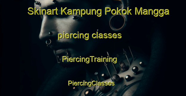 Skinart Kampung Pokok Mangga piercing classes | PiercingTraining | PiercingClasses | SkinartTraining-Malaysia