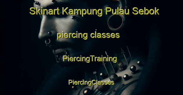 Skinart Kampung Pulau Sebok piercing classes | #PiercingTraining #PiercingClasses #SkinartTraining-Malaysia