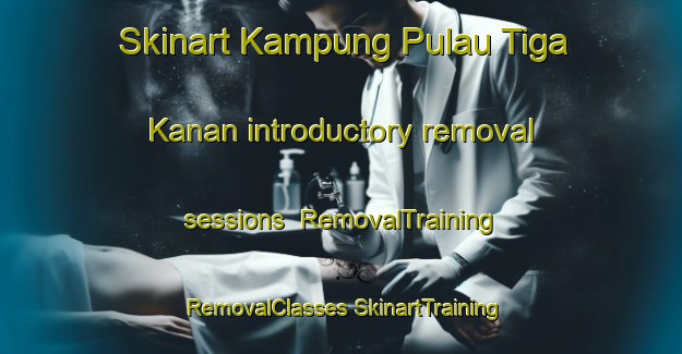 Skinart Kampung Pulau Tiga Kanan introductory removal sessions | #RemovalTraining #RemovalClasses #SkinartTraining-Malaysia