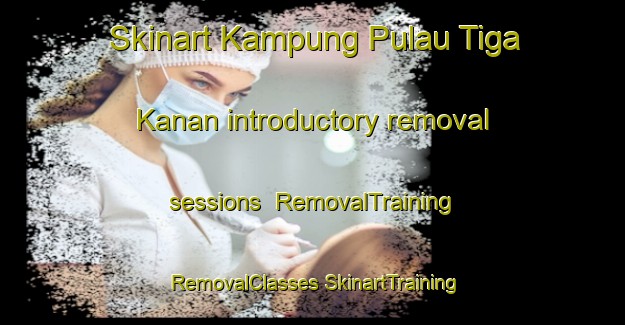 Skinart Kampung Pulau Tiga Kanan introductory removal sessions | #RemovalTraining #RemovalClasses #SkinartTraining-Malaysia