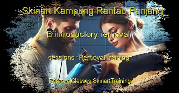 Skinart Kampung Rantau Panjang  B introductory removal sessions | #RemovalTraining #RemovalClasses #SkinartTraining-Malaysia