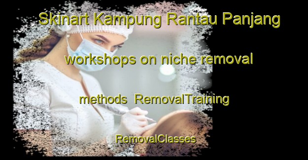 Skinart Kampung Rantau Panjang workshops on niche removal methods | RemovalTraining | RemovalClasses | SkinartTraining-Malaysia