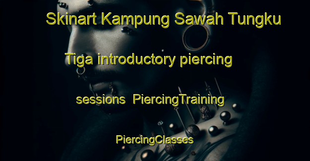 Skinart Kampung Sawah Tungku Tiga introductory piercing sessions | #PiercingTraining #PiercingClasses #SkinartTraining-Malaysia