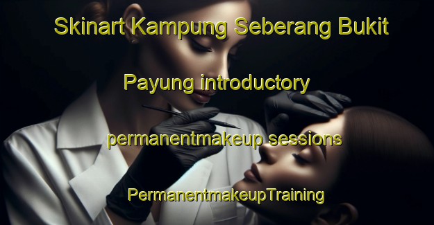 Skinart Kampung Seberang Bukit Payung introductory permanentmakeup sessions | #PermanentmakeupTraining #PermanentmakeupClasses #SkinartTraining-Malaysia