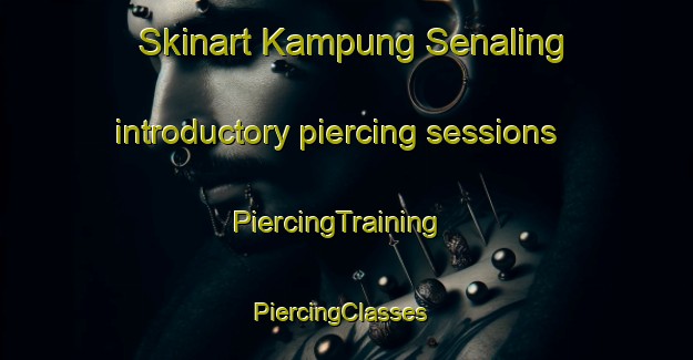 Skinart Kampung Senaling introductory piercing sessions | PiercingTraining | PiercingClasses | SkinartTraining-Malaysia