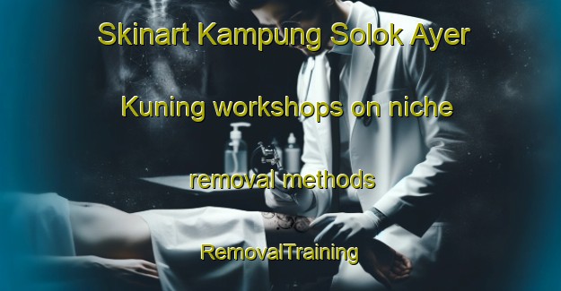 Skinart Kampung Solok Ayer Kuning workshops on niche removal methods | RemovalTraining | RemovalClasses | SkinartTraining-Malaysia