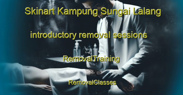 Skinart Kampung Sungai Lalang introductory removal sessions | RemovalTraining | RemovalClasses | SkinartTraining-Malaysia