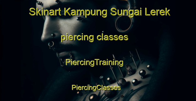 Skinart Kampung Sungai Lerek piercing classes | PiercingTraining | PiercingClasses | SkinartTraining-Malaysia