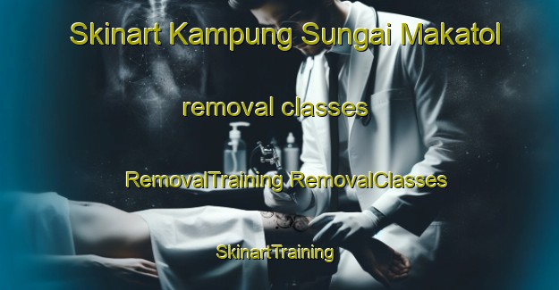 Skinart Kampung Sungai Makatol removal classes | #RemovalTraining #RemovalClasses #SkinartTraining-Malaysia