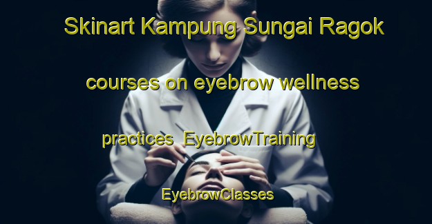 Skinart Kampung Sungai Ragok courses on eyebrow wellness practices | EyebrowTraining | EyebrowClasses | SkinartTraining-Malaysia