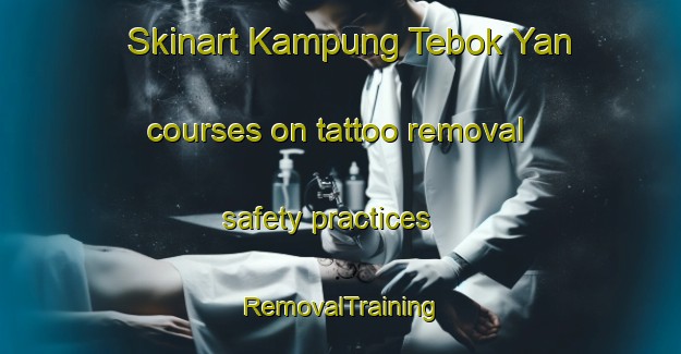 Skinart Kampung Tebok Yan courses on tattoo removal safety practices | RemovalTraining | RemovalClasses | SkinartTraining-Malaysia