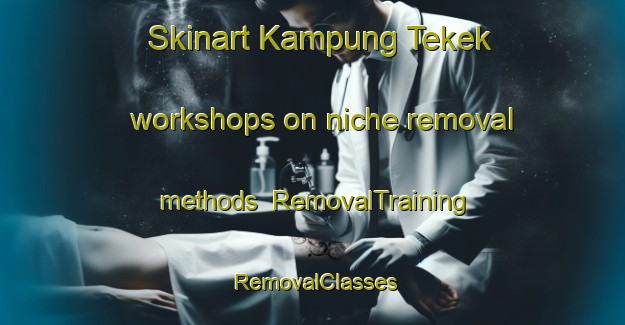 Skinart Kampung Tekek workshops on niche removal methods | RemovalTraining | RemovalClasses | SkinartTraining-Malaysia