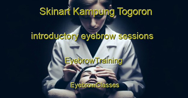 Skinart Kampung Togoron introductory eyebrow sessions | EyebrowTraining | EyebrowClasses | SkinartTraining-Malaysia