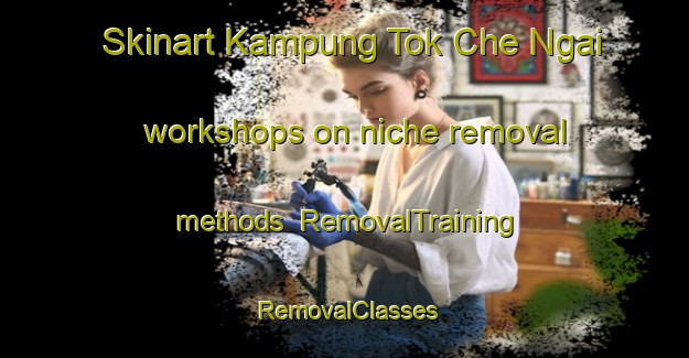 Skinart Kampung Tok Che Ngai workshops on niche removal methods | RemovalTraining | RemovalClasses | SkinartTraining-Malaysia