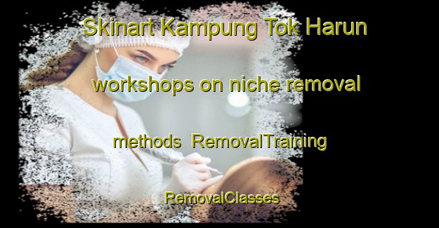 Skinart Kampung Tok Harun workshops on niche removal methods | RemovalTraining | RemovalClasses | SkinartTraining-Malaysia