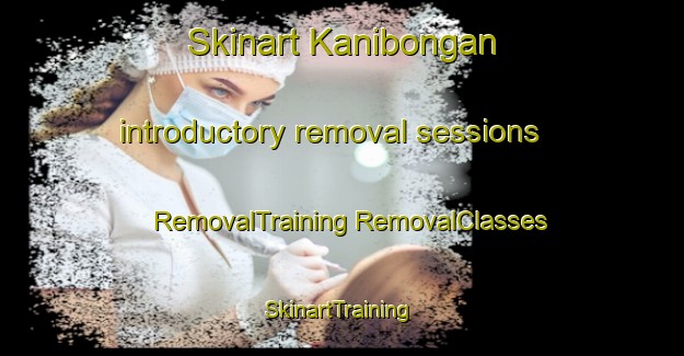 Skinart Kanibongan introductory removal sessions | #RemovalTraining #RemovalClasses #SkinartTraining-Malaysia